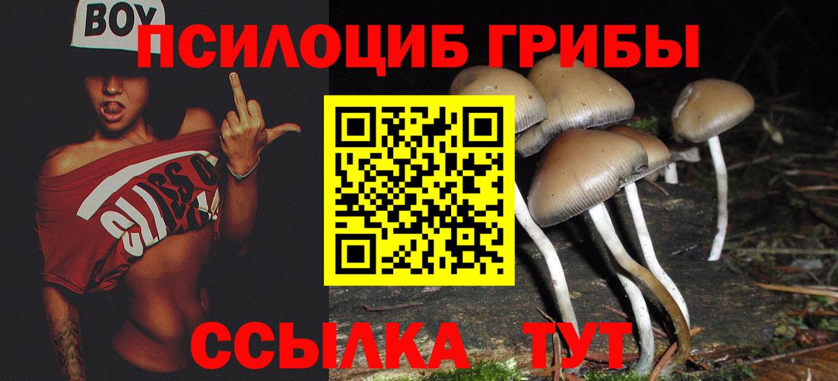 Галлюциногенные грибы мицелий  Вход с VPN  Касимов 